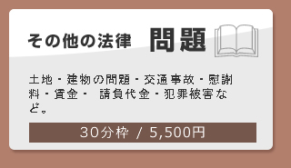 その他の法律問題　-土地・建物の問題・交通事故・慰謝料・貸金・請負代金・犯罪被害など。【30分枠 5,250円】